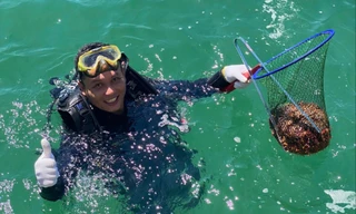 Thu gom 130kg rác dưới đáy biển Cù Lao Chàm
