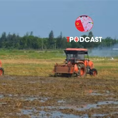 Có được thế chấp quyền sử dụng đất thuê trả tiền hằng năm?