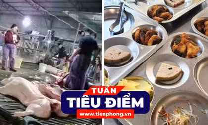 TIÊU ĐIỂM: Ai chịu trách nhiệm để lợn bệnh vào bữa ăn của người tiêu dùng?