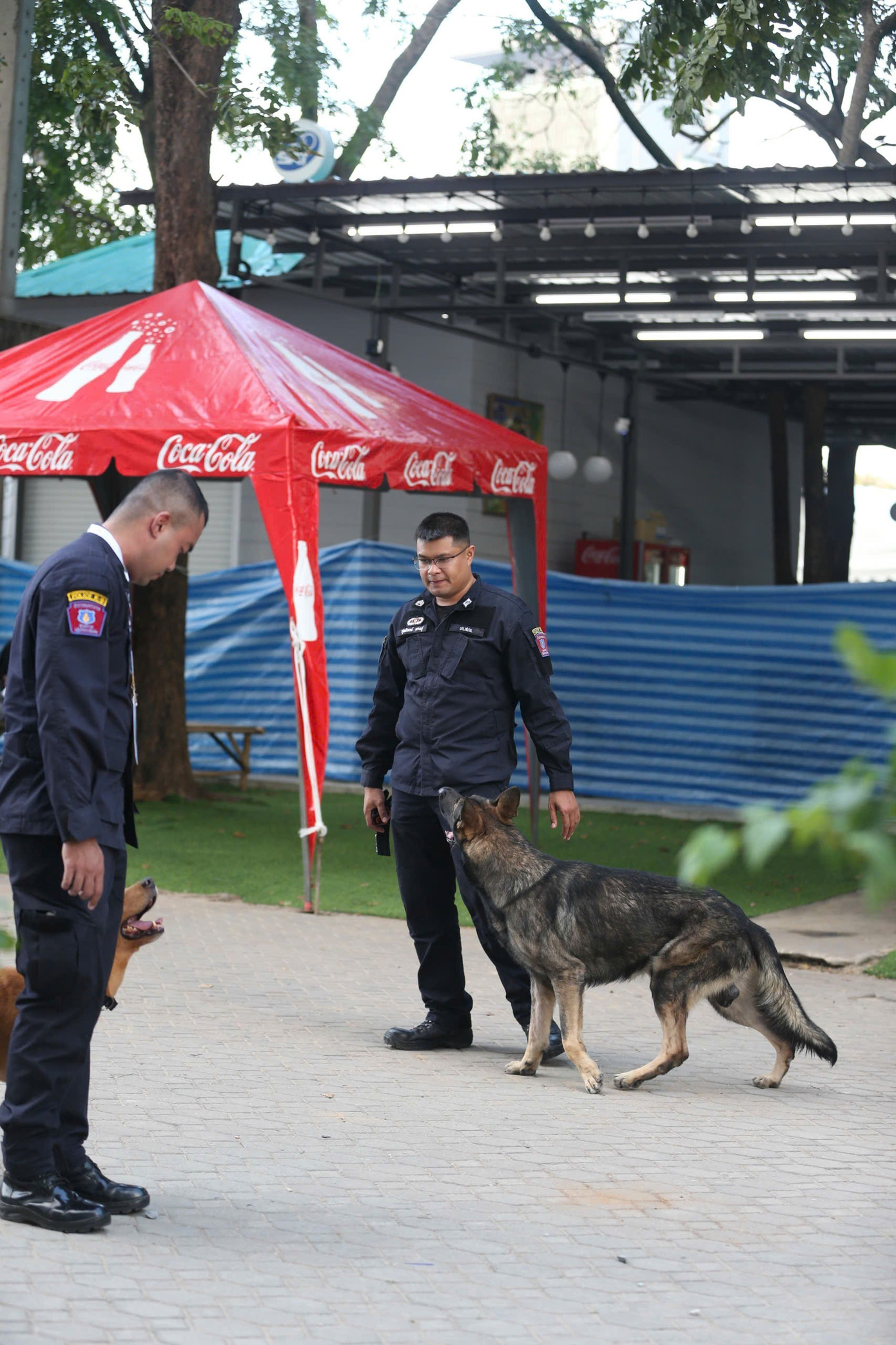 پولیس کتے بھی متحرک ہو گئے۔ 1000039523.jpg