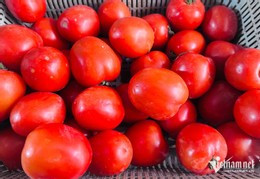 Giá cà chua ở chợ Hà Nội tiếp tục tăng mạnh. Ảnh: Tâm An.