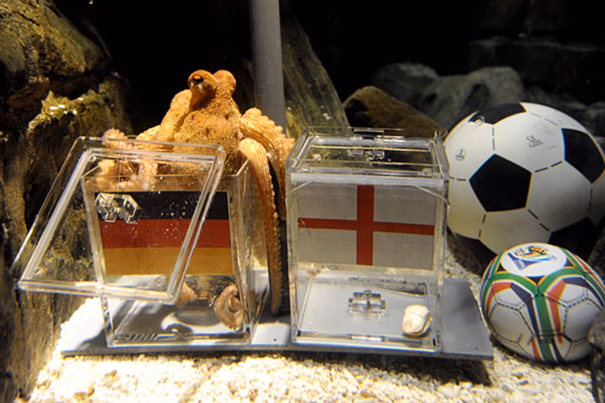 1026-paul-the-octopus.jpg