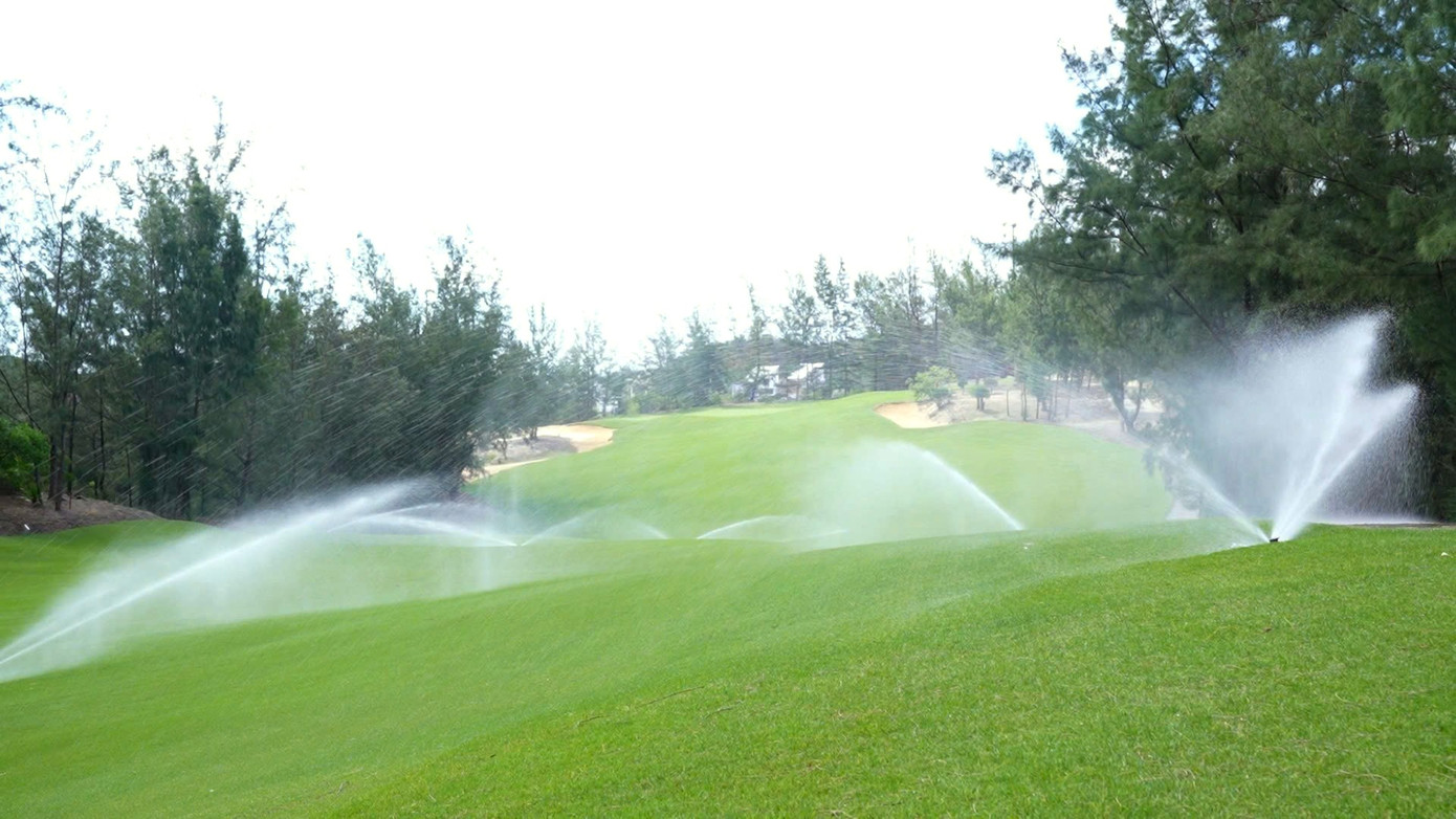 ស្មៅផ្លាទីនៀម Paspalum តែងតែត្រូវបានថែទាំយ៉ាងយកចិត្តទុកដាក់ ដោយធានាបាននូវពណ៌បៃតងដ៏ស្រស់ស្អាតនៅក្រោមពន្លឺថ្ងៃដ៏អាក្រក់នៃតំបន់ South Central Coast ។ z6856536460855-358bf1dfef21b08cc9301b1ce4b2b2a5-2608.jpg