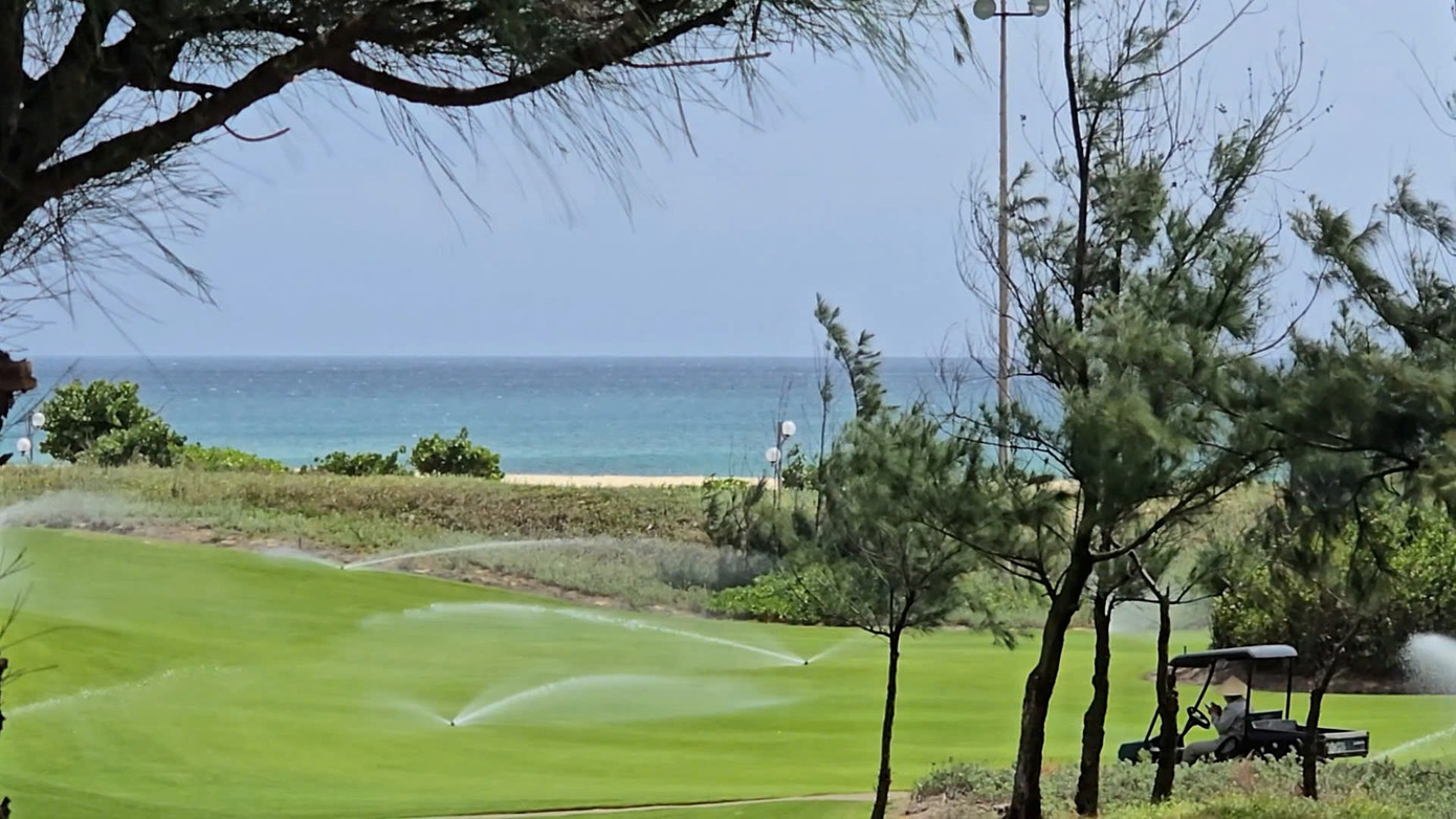 Là sân golf dạng links, FLC Golf Links Quy Nhơn luôn rất nhiều gió. z6856536709543-f9980555820a19fe4d0d7a4f9d910b7a.jpg
