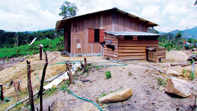 Lán do Cty LNTH mới dựng ở hiện trường rừng bị phá