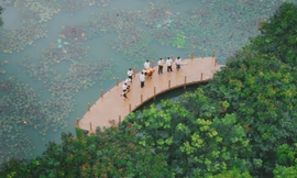 Sinh viên FPT thể hiện tình yêu âm nhạc truyền thống qua MV tri ân thầy cô nhân Ngày 20/11