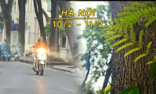 Hà Nội mưa rét, nhiệt thấp nhất 12 độ C