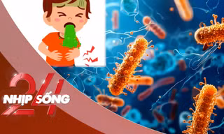 NHỊP SỐNG 24: Triệu chứng của chất Cereulide có trong các loại sữa bị NESTLÉ thu hồi