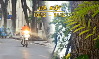 Hà Nội mưa rét, nhiệt thấp nhất 12 độ C