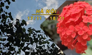 Hà Nội rải rác có mưa, sáng trời rét