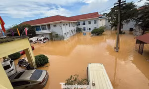 Cán bộ y tế phun hóa chất xử lý môi trường tại khu vực xã Thất Khê, tỉnh Lạng Sơn.