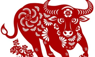 Tử vi tuổi Sửu 2026: Giai đoạn nhiều biến động