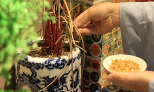 Điều cần tránh khi bao sái bát hương