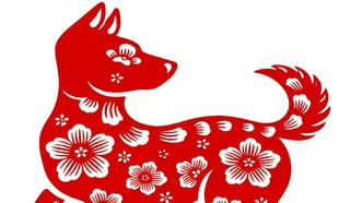 Tử vi tuổi Tuất 2026: Cơ hội kiếm tiền khủng