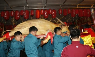 Hàng nghìn người xuyên đêm xem lễ tế trâu trắng và rước Mẫu ở Lào Cai