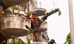 Hà Nội phá dỡ chung cư 51 Huỳnh Thúc Kháng sau 35 năm