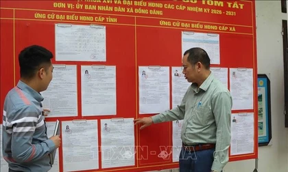 Bầu cử Quốc hội và HĐND: Các mốc thời gian cần lưu ý