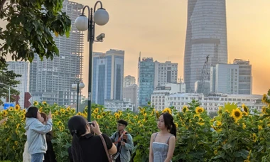 Giới trẻ hào hứng check-in cùng hoa hướng dương giữa lòng Sài Gòn