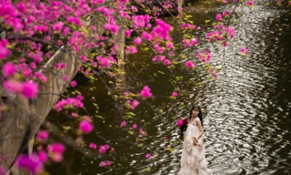 Cận cảnh cây cầu 'hoa giấy' tại Hưng Yên thu hút giới trẻ Hà Nội tới check in