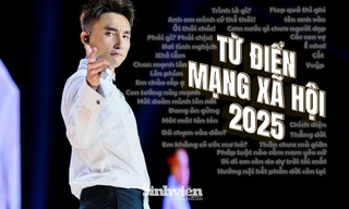 'Từ điển' mạng xã hội 2025: câu nói nào 'hot' nhất?