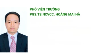 Viện Hoá học lên tiếng về nghi vấn của dự án giải Nhất Cuộc thi KHKT Quốc gia liên quan đến PGS. TS Hoàng Mai Hà