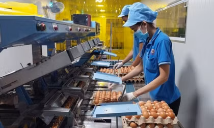 Chi phí 'neo' cao, doanh nghiệp căng mình giữ giá