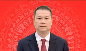 Chân dung tân Chủ tịch UBND TP. Đà Nẵng Nguyễn Mạnh Hùng