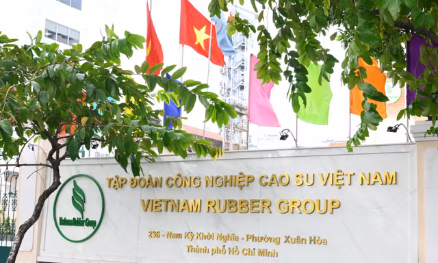 Tập đoàn Công nghiệp Cao su Việt Nam tuyển dụng nhân sự