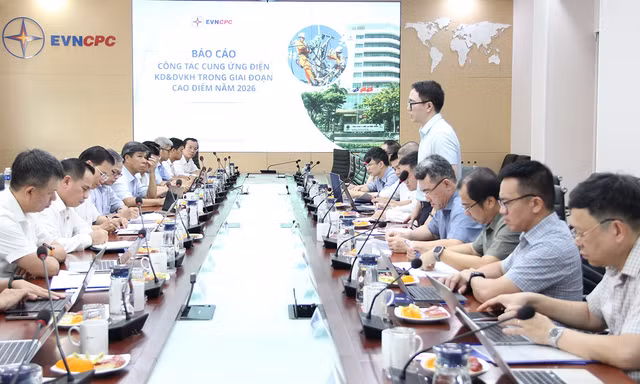 EVN kiểm tra công tác cung ứng điện tại EVNCPC trong cao điểm nắng nóng