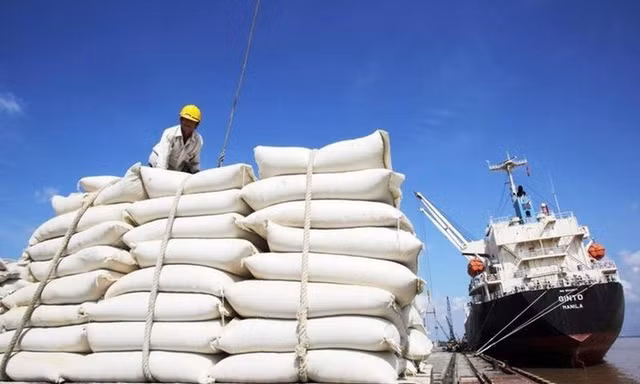 Gạo Việt ‘phanh gấp’ trước động thái cứng rắn của Philippines 