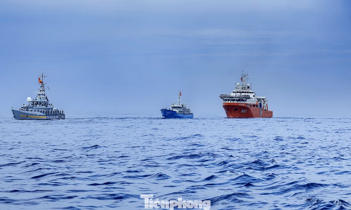 tp-a80-11.jpg