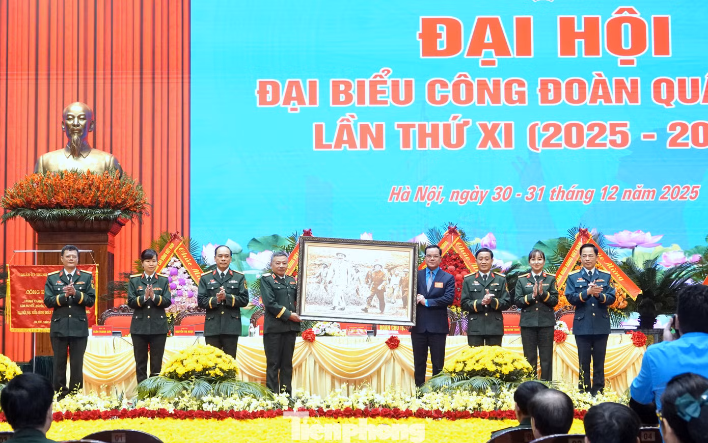 tp-cdqp-20.jpg