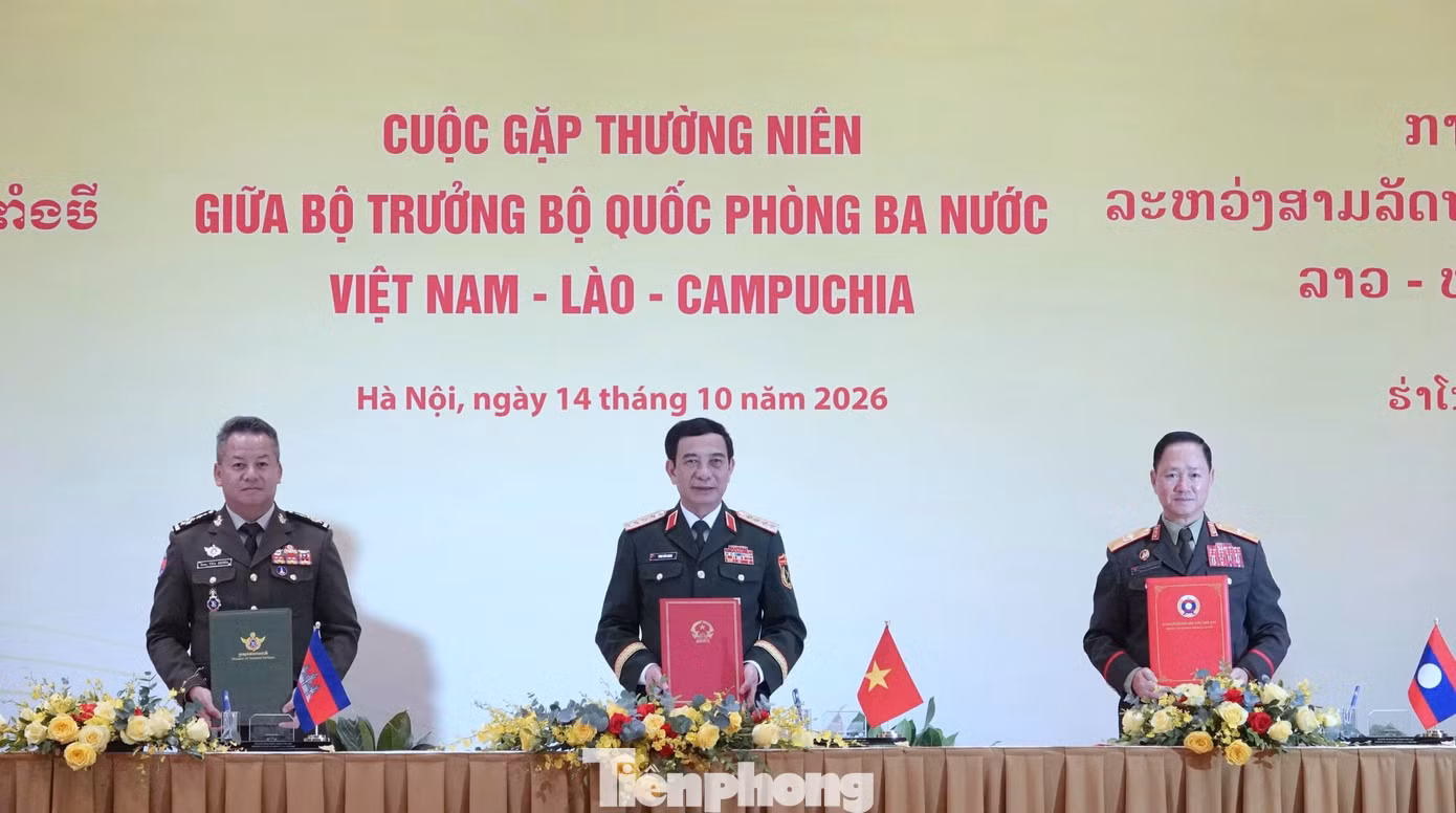 tp_bqp-8.jpg