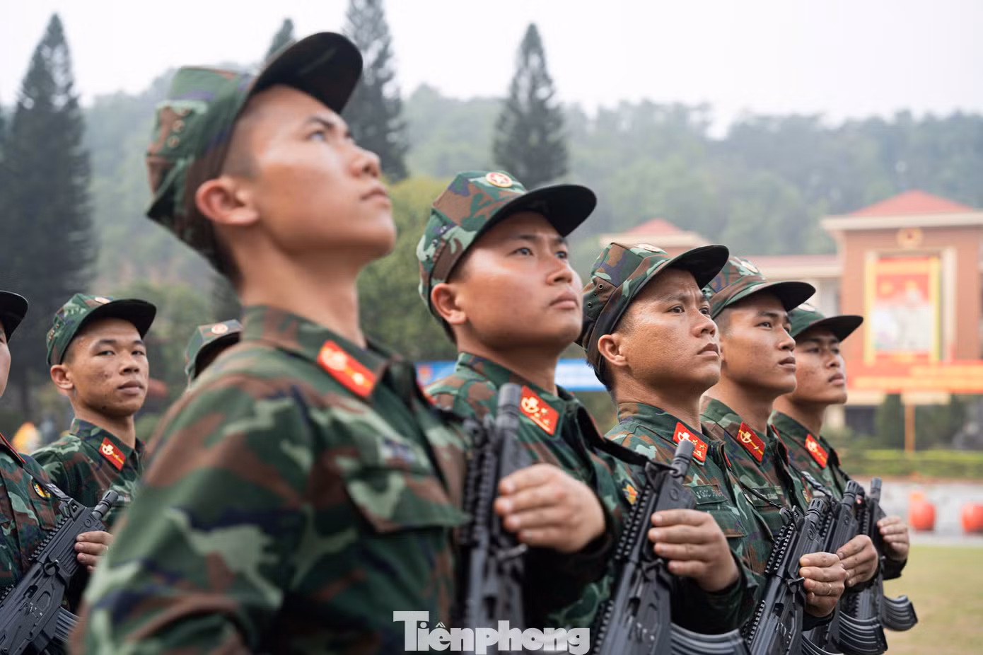 tp-ld113-27.jpg