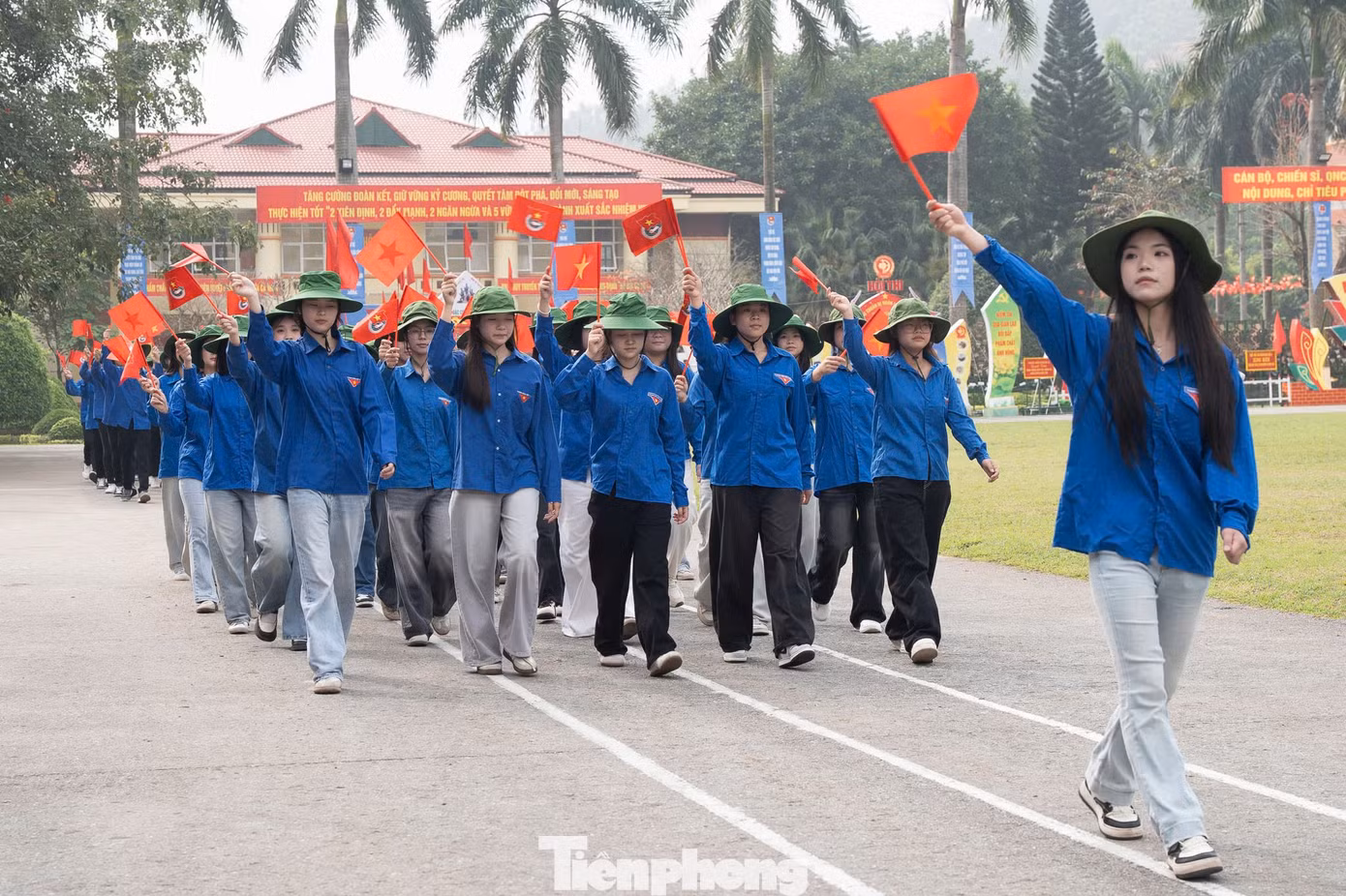 tp-ld113-30.jpg
