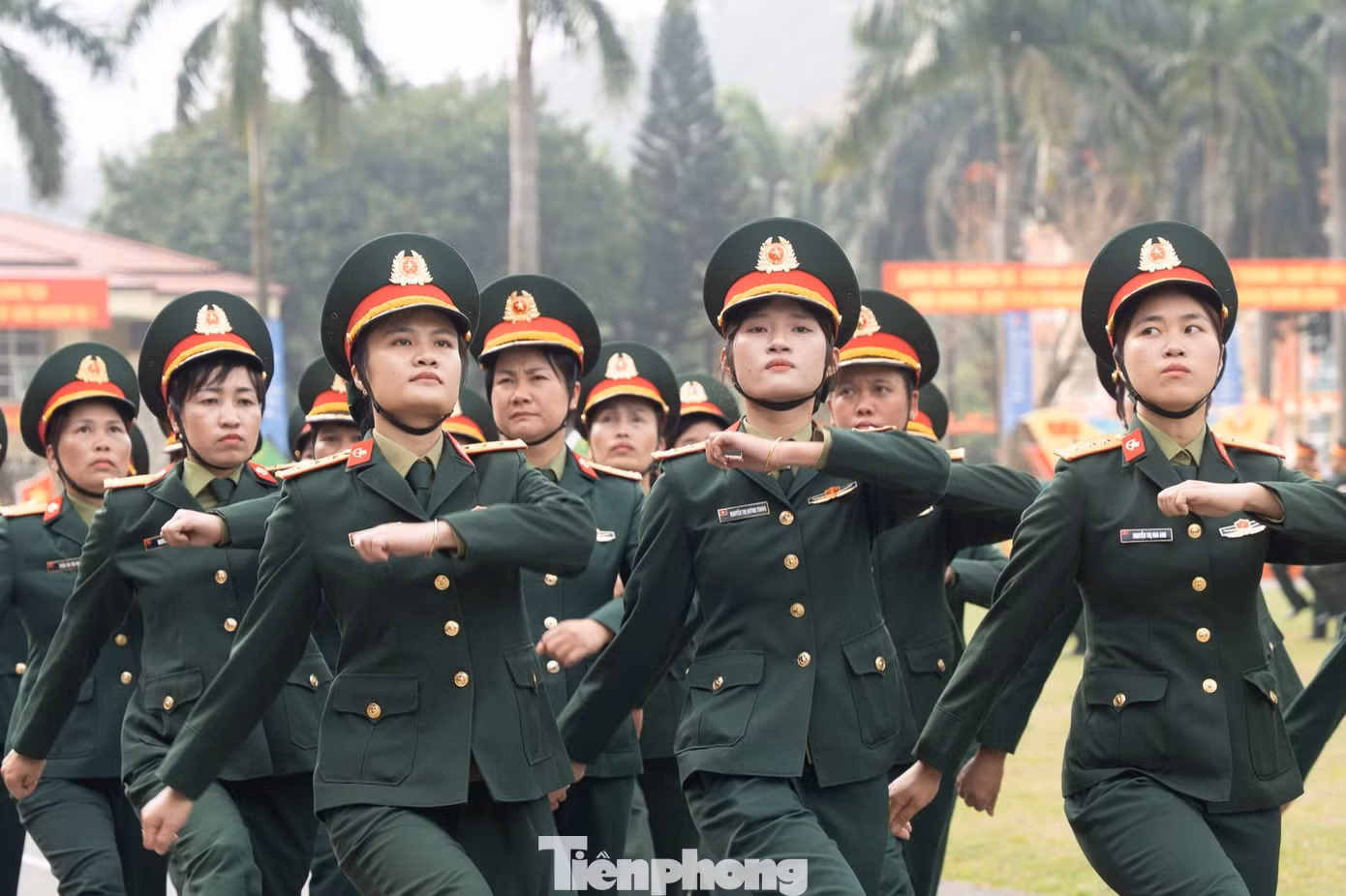 tp-ld113-28.jpg