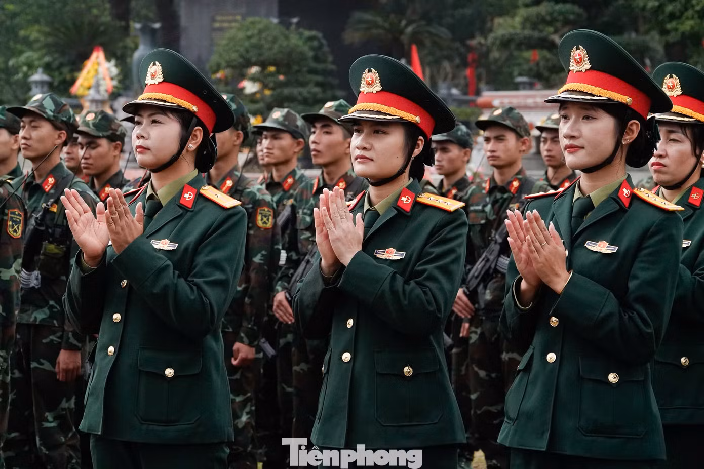 tp-113-14.jpg