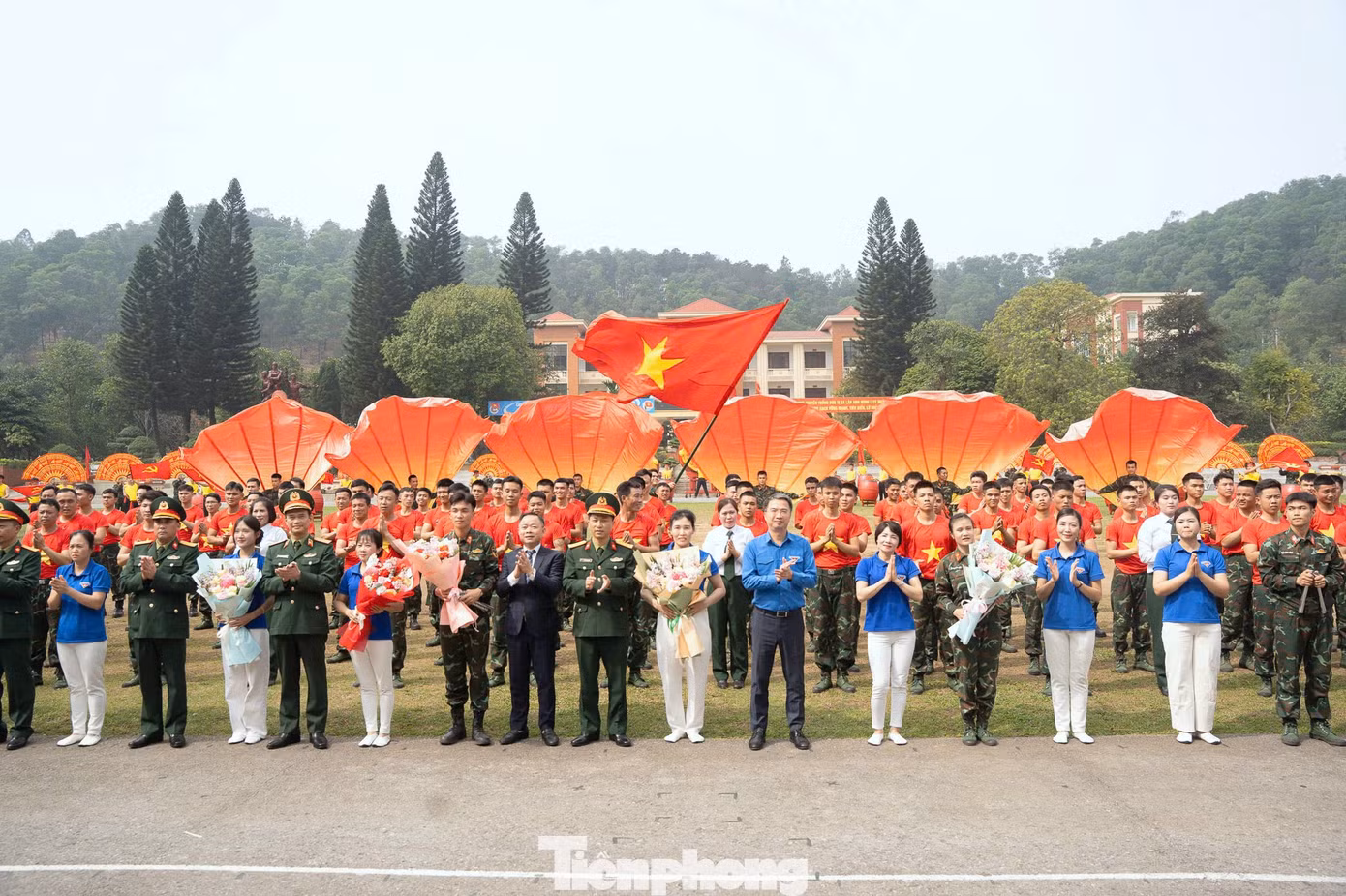 tp-ld113-4.jpg