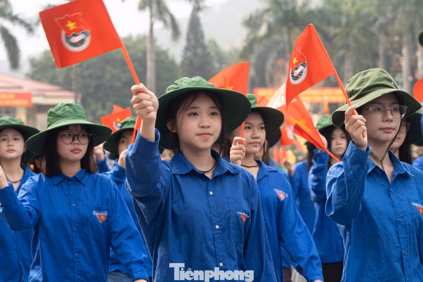 tp-ld113-29.jpg