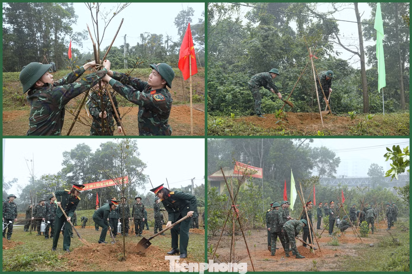 tp-ktqs-3.jpg