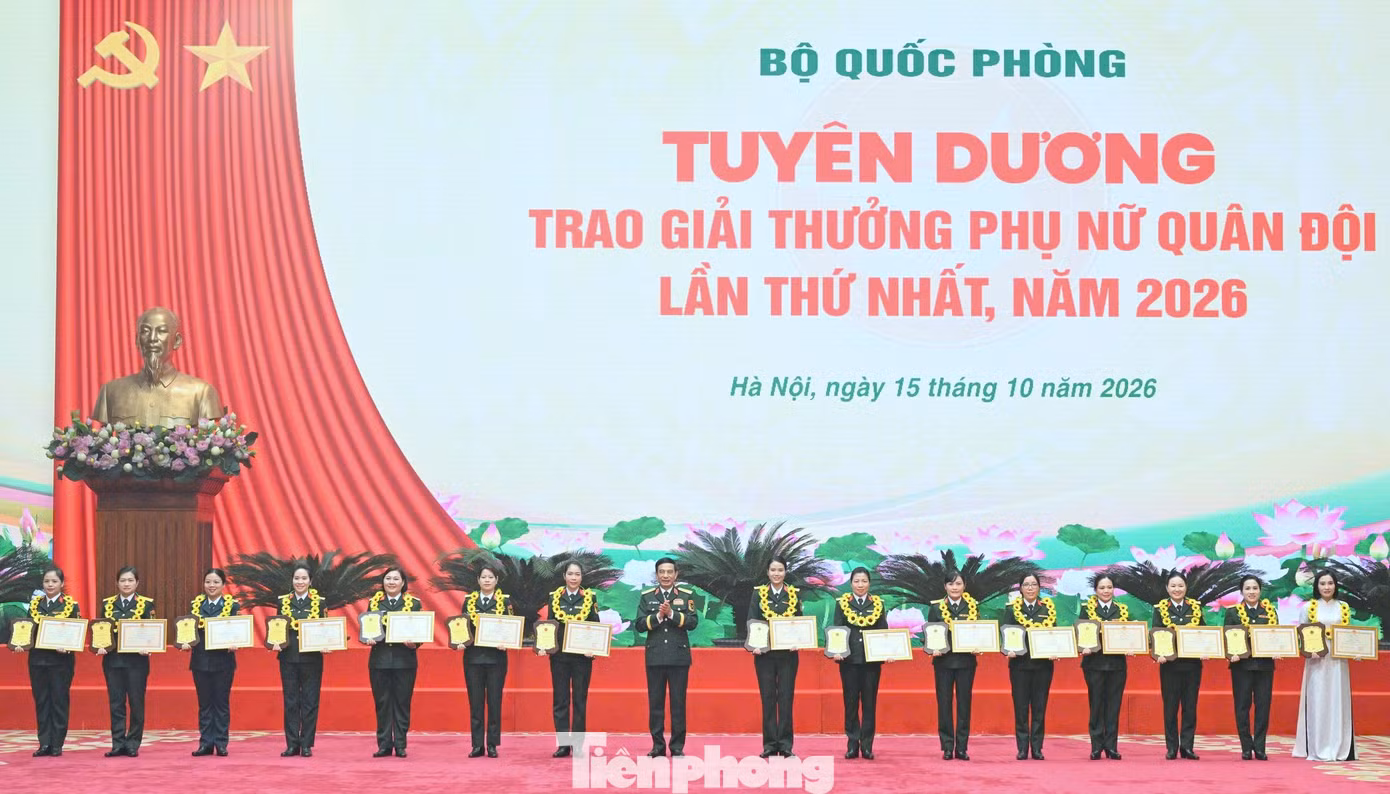 tp_pnqd-11.jpg