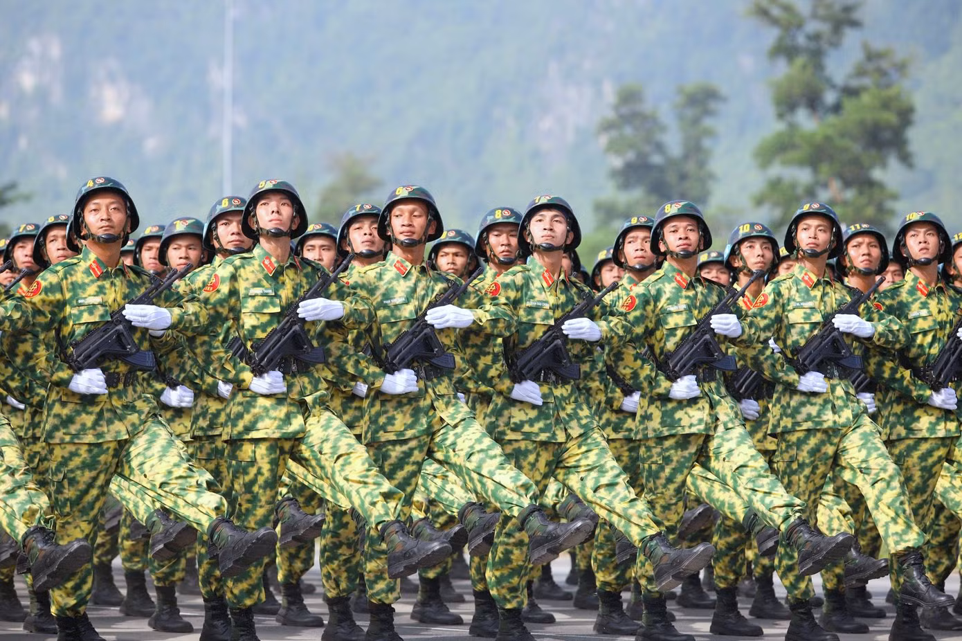 a80-72.jpg