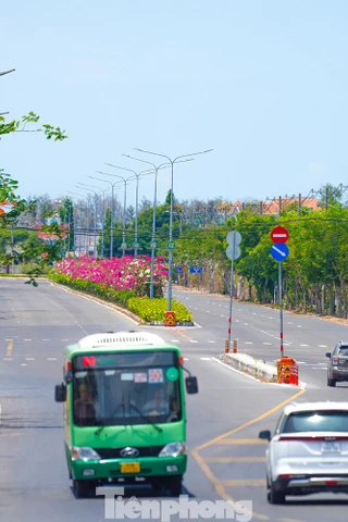 Người dân Cần Giờ, Côn Đảo được ưu đãi gì khi chuyển sang xe điện?