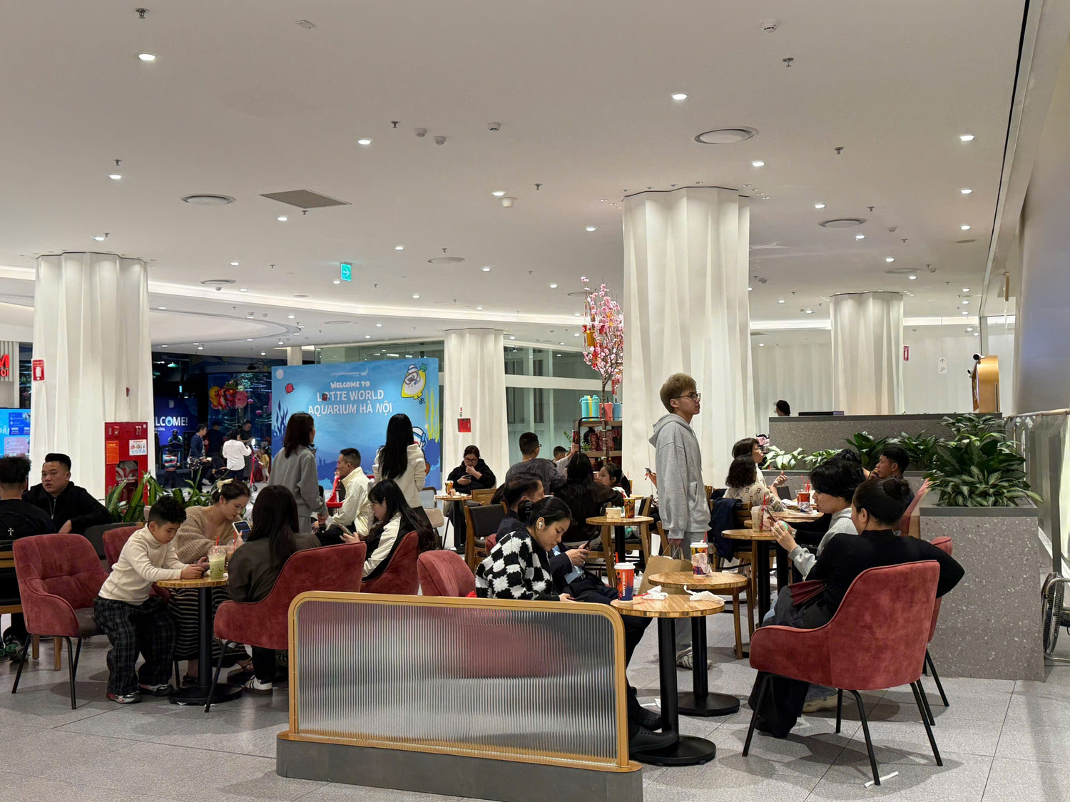 Hà Nội: Xếp hàng ăn phở, uống cà phê 'giải ngấy' ngày Tết