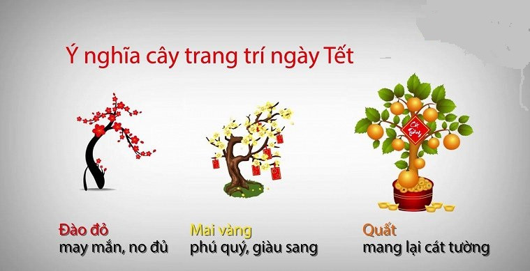 Tết Nguyên Đán và những sự thật thú vị không phải ai cũng biết