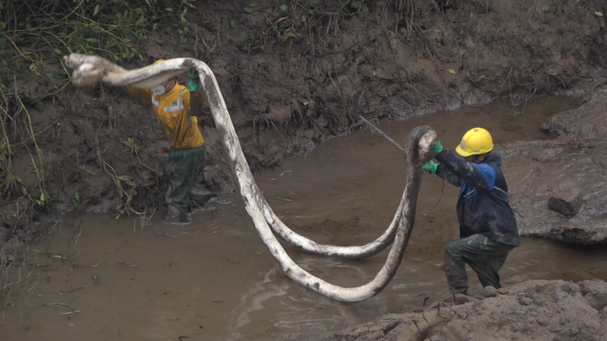 Hút hàng tấn dầu chảy ra sông
