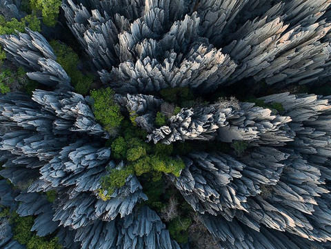 Rừng đá vôi sắc như dao cạo 'không thể đi chân trần' ở Madagascar