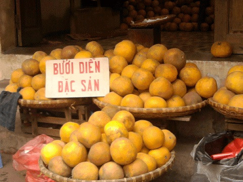 Sự thật về việc bưởi Diễn mất giá, chỉ còn 25.000 - 30.000/quả