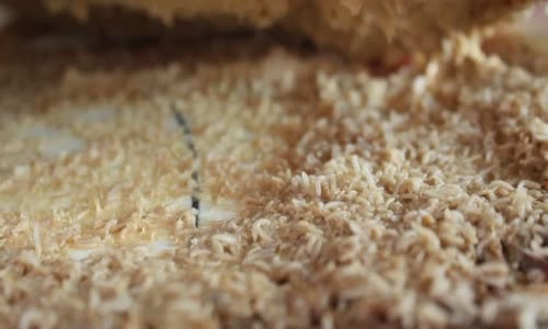 Bạn có dám thử phô mai lúc nhúc giòi sống, nguy hiểm nhất thế giới?