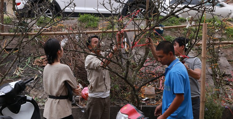 Video: Người Hà Nội ùn ùn đi săn hoa lê rừng tiền triệu sau Tết